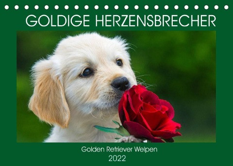Goldige Herzensbrecher - Golden Retriever Welpen (Tischkalender 2022 DIN A5 quer)