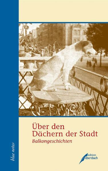 Über den Dächern der Stadt: Balkongeschichten (blue notes)