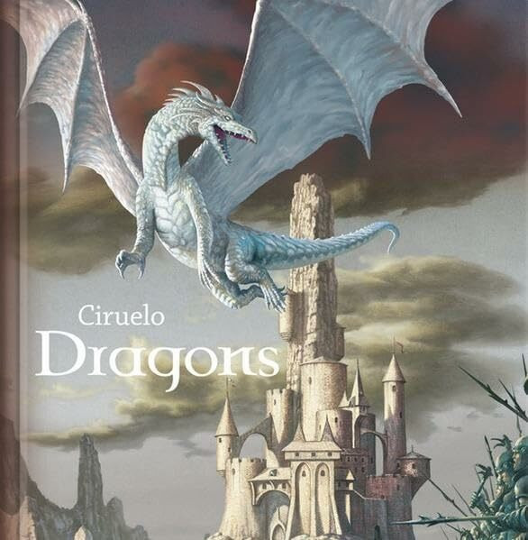 Dragons: Geschenkbuch