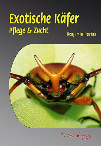 Exotische Käfer: Pflege & Zucht