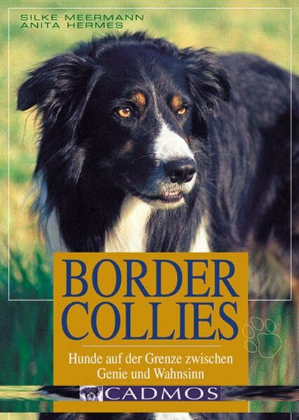 Border Collies: Hunde auf der Grenze zwischen Genie und Wahnsinn (Cadmos Hundebuch)