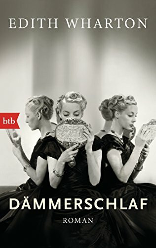Dämmerschlaf: Roman