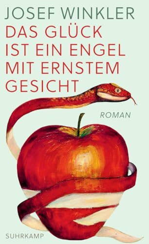 Das Glück ist ein Engel mit ernstem Gesicht: Roman