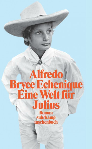Eine Welt für Julius: Roman (suhrkamp taschenbuch)
