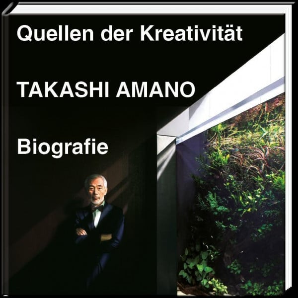 Quellen der Kreativität