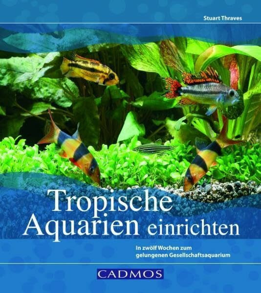 Tropische Aquarien einrichten: In zwölf Wochen zum gelungenen Gesellschaftsaquarium (Cadmos Aquaristik)