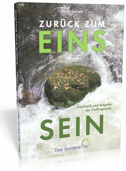 Zurück zum EinsSein: Geschenk und Aufgabe der Zwillingsseele