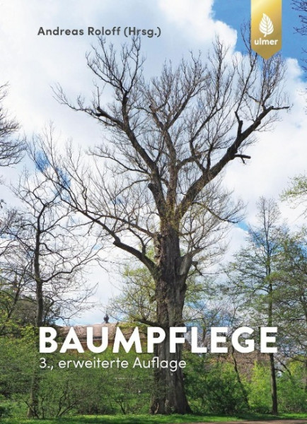 Baumpflege