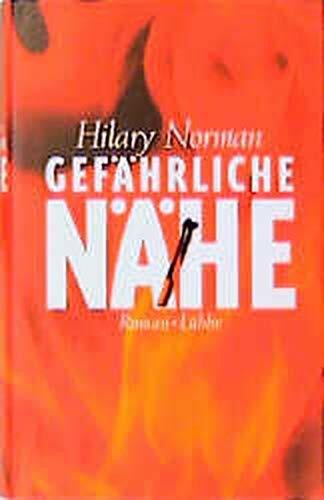 Gefährliche Nähe: Thriller (Lübbe Belletristik)