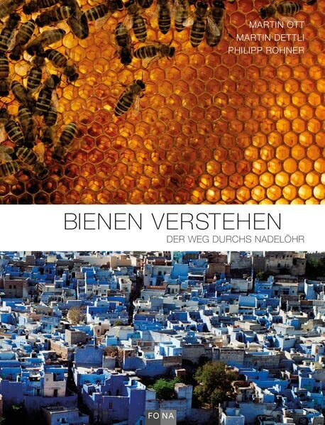 Bienen verstehen: Der Weg durchs Nadelöhr