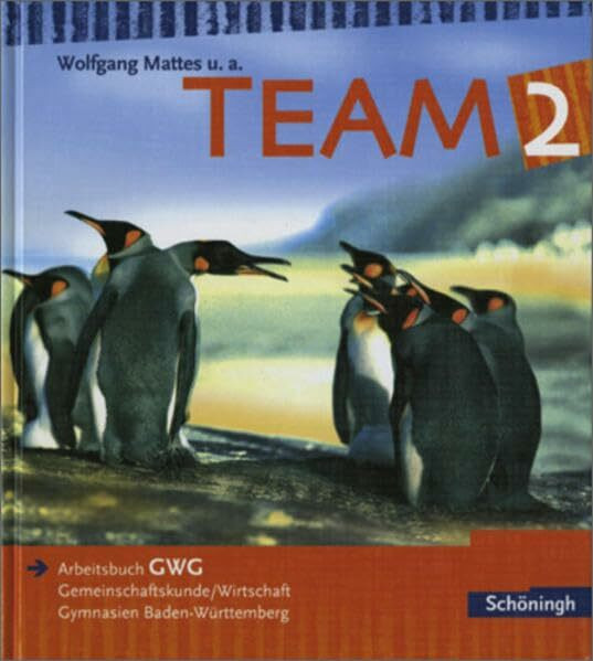 TEAM GWG - Arbeitsbücher für Gemeinschaftskunde und Wirtschaft an Gymnasien in Baden-Württemberg - Bisherige Ausgabe: Band 2: Bildungsstandards GWG ... / Band 2: Bildungsstandards GWG Klasse 10