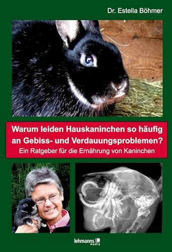 Warum leiden Hauskaninchen so häufig an Gebiss- und Verdauungsproblemen?: Ein Ratgeber für die Ernährung von Kaninchen