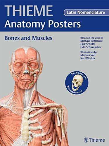 THIEME Anatomy Posters Bones and Muscles, Latin Nomeclature