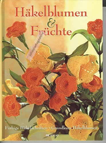 Häkelblumen und Früchte: Farbige Häkelschriften. Grundkurs Häkelblumen