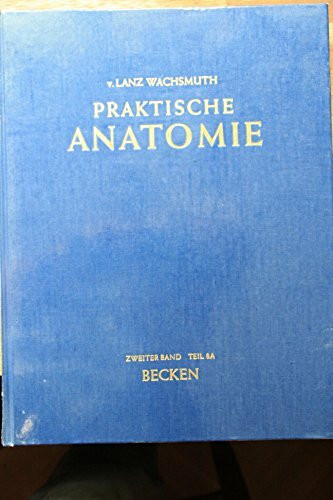 Becken (Praktische Anatomie)