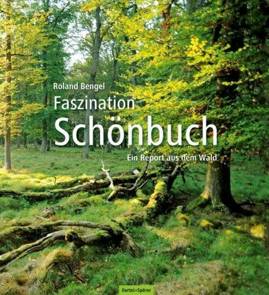 Faszination Schönbuch: Ein Report aus dem Wald