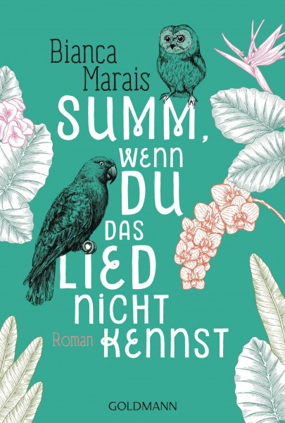 Summ, wenn du das Lied nicht kennst: Roman
