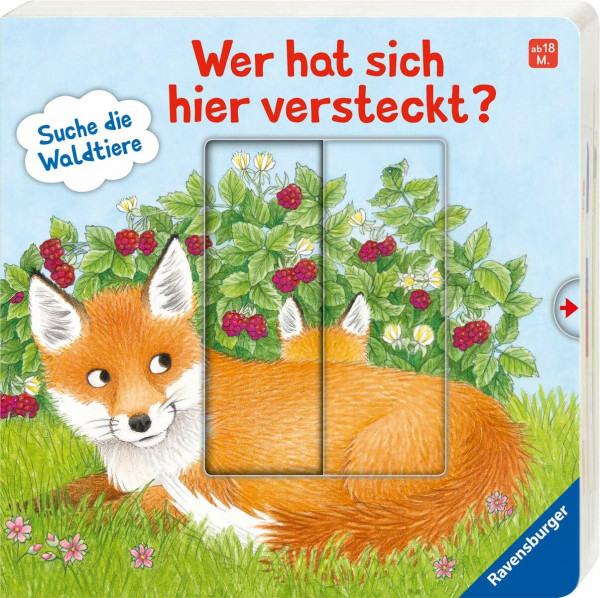 Wer hat sich hier versteckt? Suche die Waldtiere