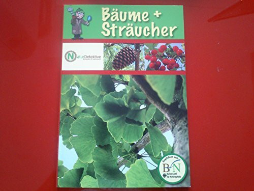 Bäume + Sträucher.