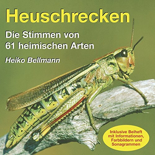 Heuschrecken. Die Stimmen von 61 heimischen Arten