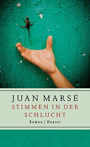 Stimmen in der Schlucht: Roman