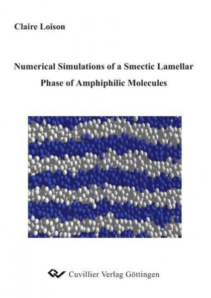 Numerical Simulations of a Smectic Lamellar of Amphiphilic Molecules
