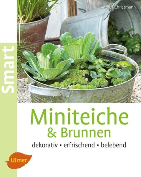 Miniteiche und Brunnen