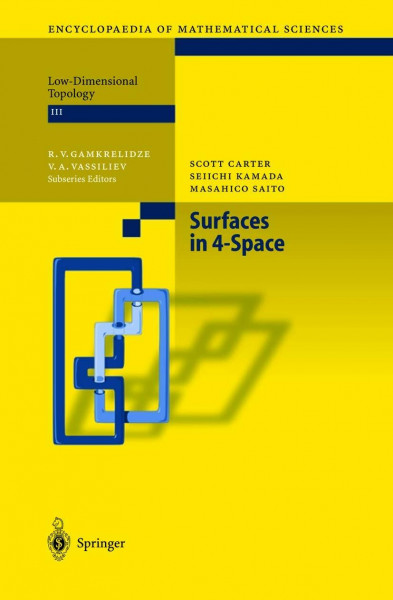 Surfaces in 4-Space (Encyclopaedia of Mathematical Sciences, 142, Band 142)