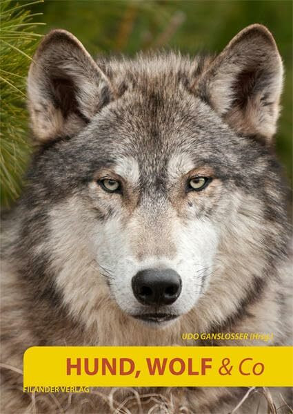 Hund, Wolf & Co.