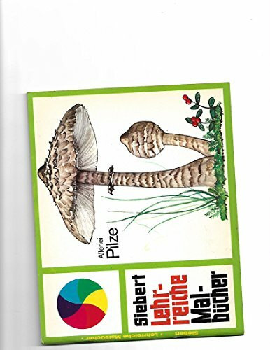 Allerlei Pilze