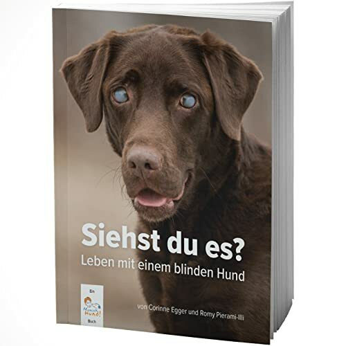 Siehst du es?: Leben mit einem blinden Hund