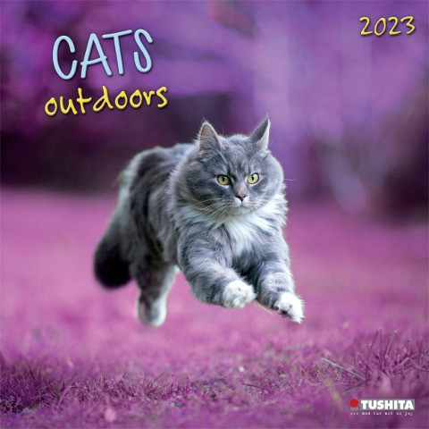 CATS outdoors 2023