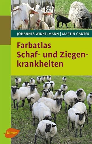 Schaf- und Ziegenkrankheiten (Patient Tier)