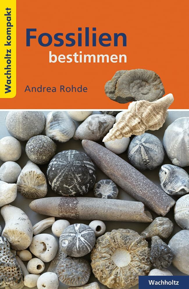 Fossilien Bestimmen Kompakt (Wachholtz Kompakt)
