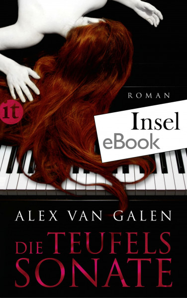 Die Teufelssonate: Roman (insel taschenbuch)
