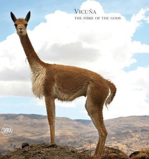 Vicuna