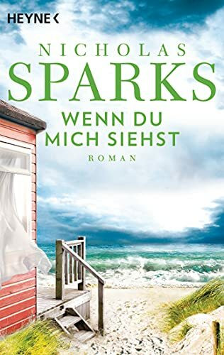 Wenn du mich siehst: Roman