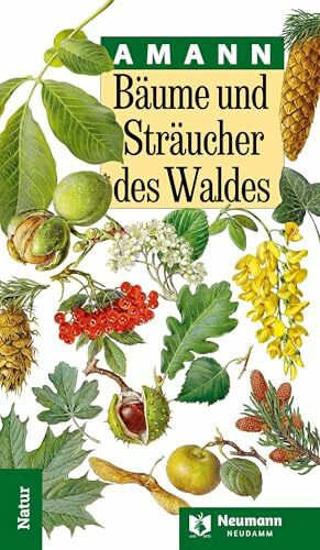 Bäume und Sträucher des Waldes