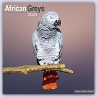 African Greys - Graupapageien 2023 - 16-Monatskalender