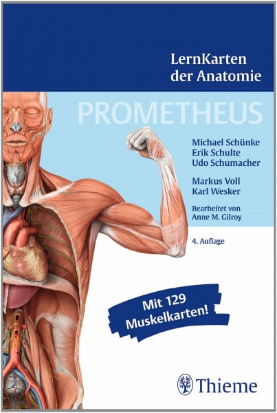 PROMETHEUS LernKarten der Anatomie: Mit 129 Muskelkarten
