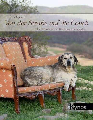 Von der Straße auf die Couch: Glücklich werden mit Hunden aus dem Süden