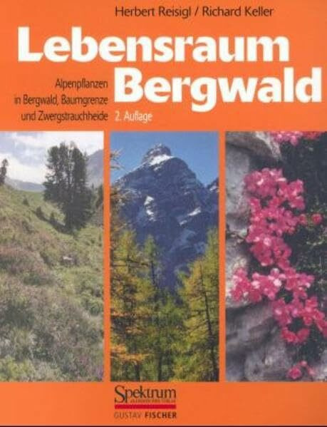 Lebensraum Bergwald: Alpenpflanzen in Bergwald, Baumgrenze und Zwergstrauchheide. Vegetationsökologische Informationen für Studien, Exkursionen und Wanderungen