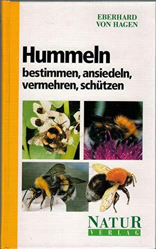 Hummeln bestimmen - ansiedeln - vermehren - schützen