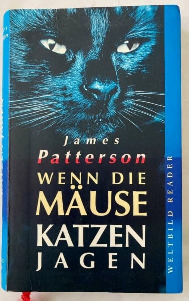 Wenn die Mäuse Katzen jagen.