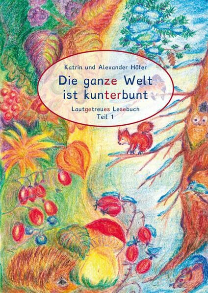 Die ganze Welt ist kunterbunt Lautgetreues Lesebuch Teil 1: Lesen lernen mit Salome