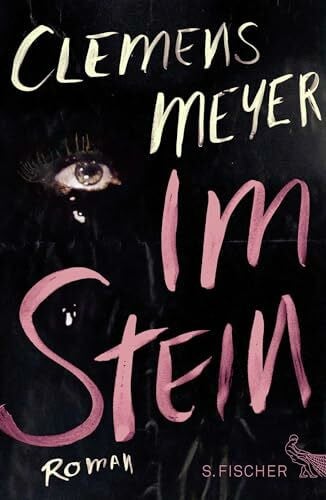 Im Stein: Roman
