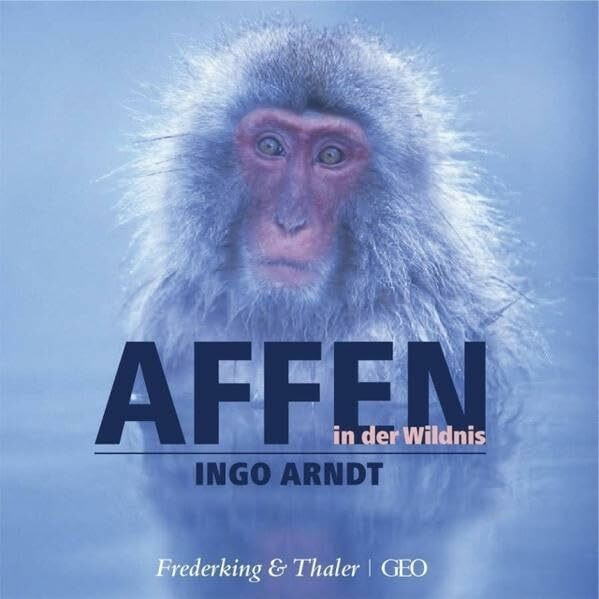 Affen in der Wildnis