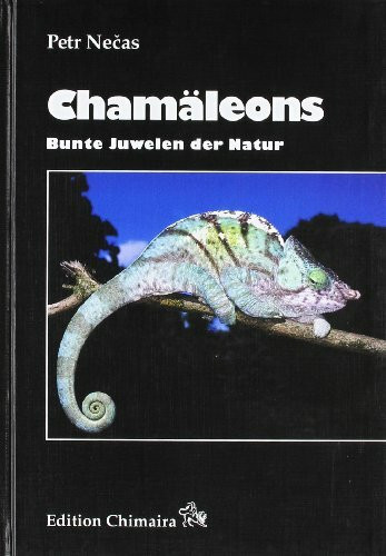 Chamäleons: Bunte Juwelen der Natur