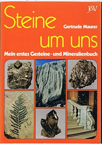 Steine um uns: Mein erstes Gesteine- und Mineralienbuch