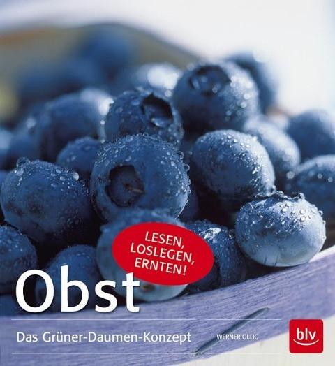 Obst